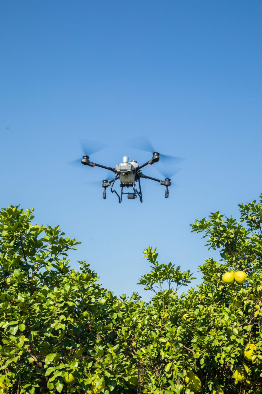 DJI Agras T25