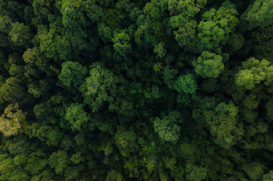 DJI Mavic 3 Pro (DJI RC)