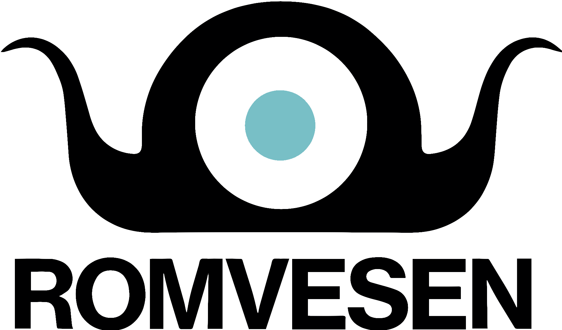 Romvesen Oy